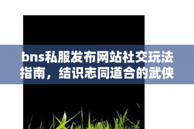 bns˽վ罻淨ָϣʶ־