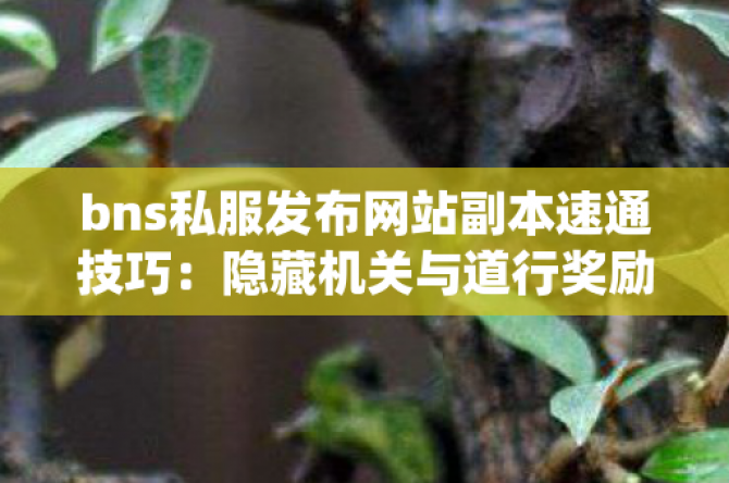bns˽վͨɣػ
